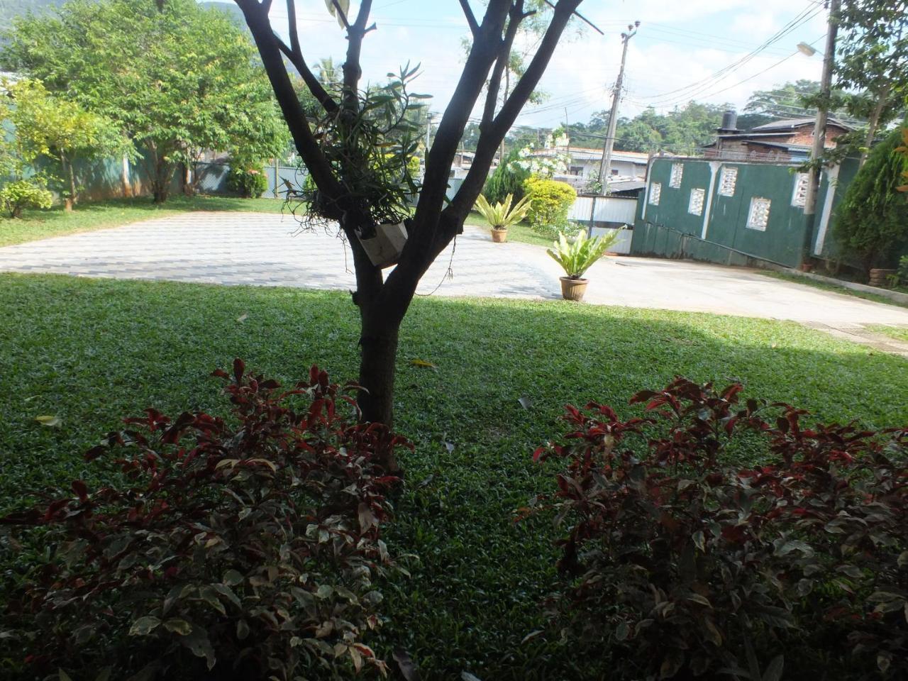 Hillsview Rest & Guest House Matale Exterior photo
