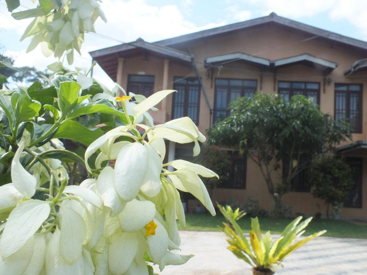 Hillsview Rest & Guest House Matale Exterior photo