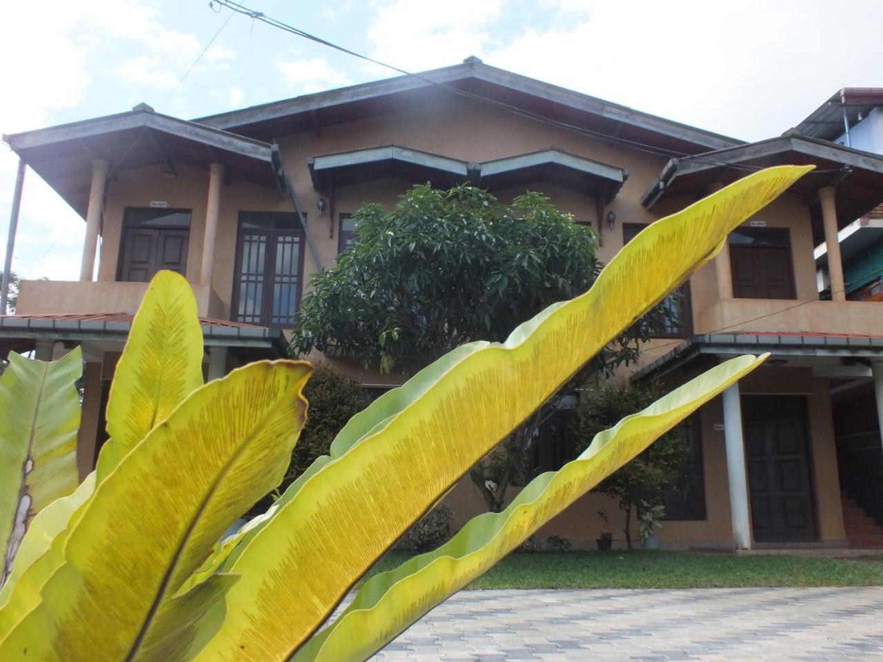 Hillsview Rest & Guest House Matale Exterior photo