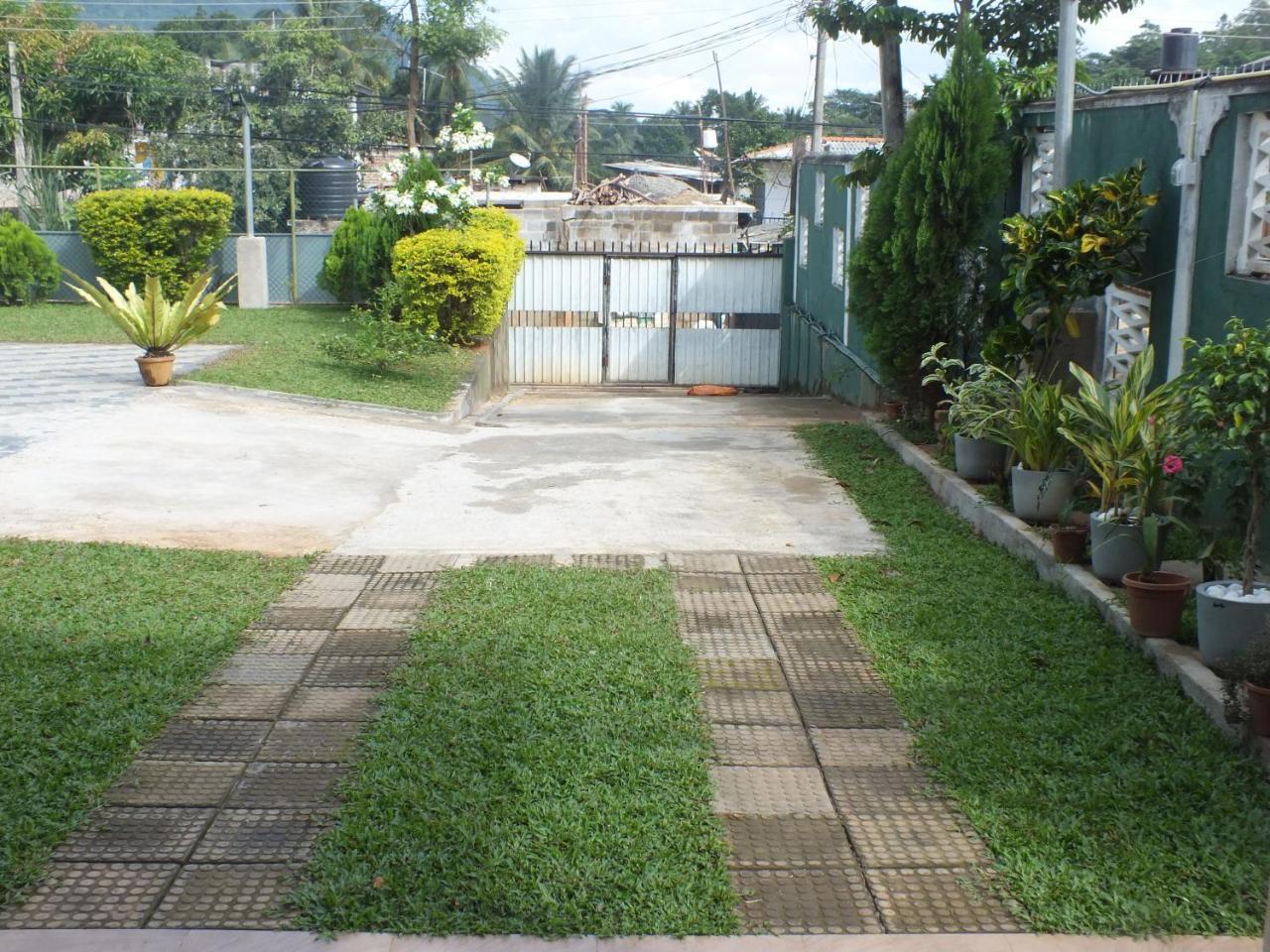 Hillsview Rest & Guest House Matale Exterior photo